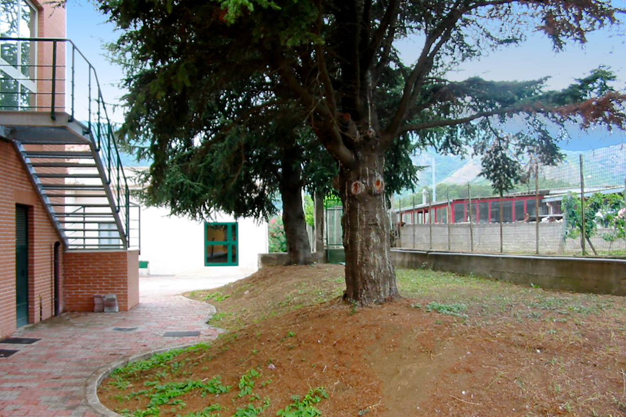 Polo Infanzia Antessano Maria Montessori officina mani